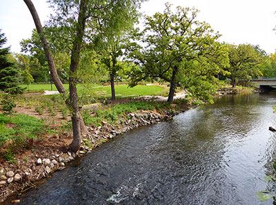 Cottageville Park Closeup of Creek