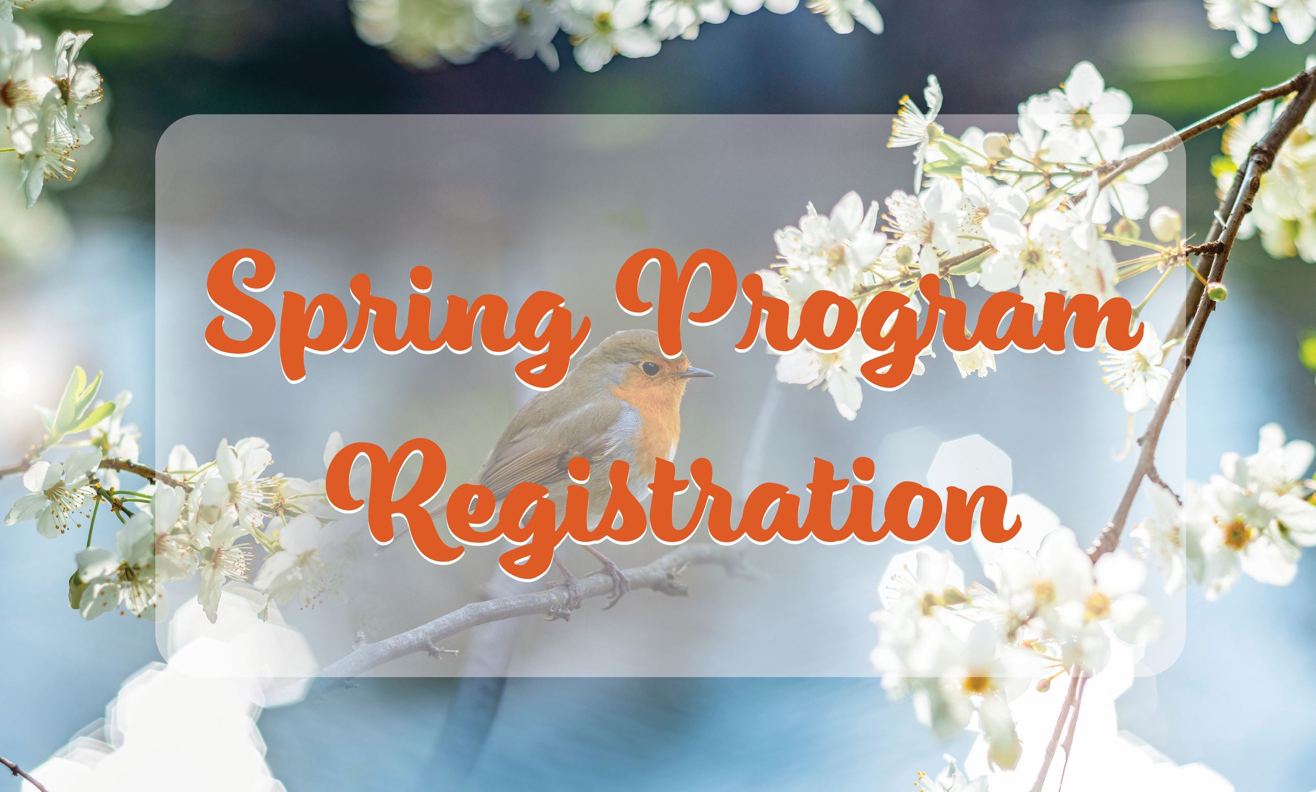 Spring Program Registration Button